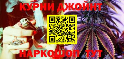 a pvp Славгород