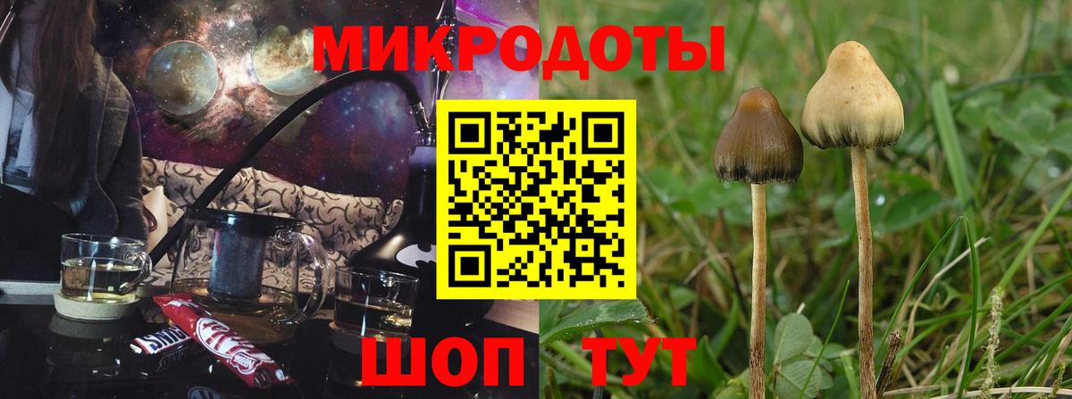 Галлюциногенные грибы ЛСД  Вход с VPN  Новый Уренгой 
